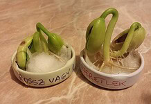 Bizonyítható, hogy a gyűlölet megbetegít