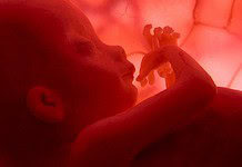 Újabb városban tiltották be az abortuszt