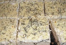 Kapros-túrós lepény