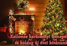 Kellemes karácsonyi ünnepeket és boldog új évet kívánunk!