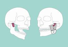 Új emberi testrészt fedezett fel a SOTE kutatója