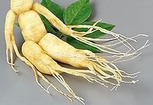 A „mindent gyógyító”ginzeng