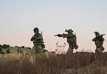 Erdélybe helyezik át a NATO romániai harccsoportjának súlypontját