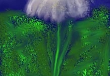 Aranyosi Ervin: Éld a napot