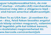 Álláslehetőség amerikai magyarok számára