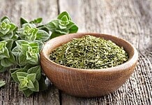 Gyógyfű, melynek baktériumölő hatása a penicillinével vetekszik