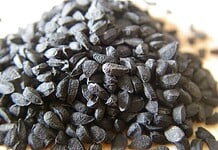 Erről a növényről már a régmúlt időkben is azt tartották, hogy a halálon kívül mindent gyógyít