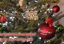 Áldott karácsonyi ünnepeket kívánunk!