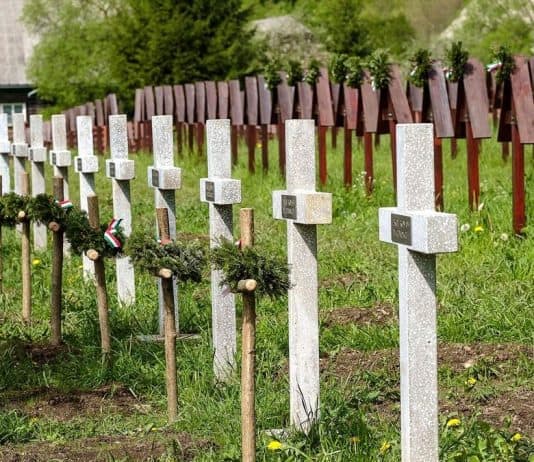 Úzvölgyi katonatemető: el kell távolítani a betonkereszteket