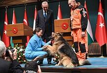 Erdogan: Törökország támogatni fogja Magyarország gázellátását