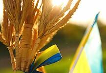 Szlovákia betiltotta az ukrán gabona feldolgozását és felhasználását