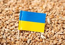 Gulyás: Románia kiugrott, történt már ilyen