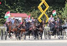 Történelmi sikert arattak a magyar fogathajtók a vb-n