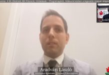 Számomra mindig is természetes dolog volt a hazámat képviselni – Interjú Aradvári László közösségi diplomatával