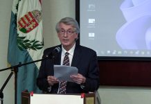 ‘We still exist, but not as we once did’ — An Interview with Lél Somogyi