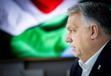 Magyarország egy fontos OECD-lista élén, Amerika az utolsó helyen