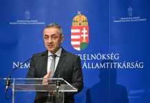 Potápi: a magyarság nem származás, hanem vállalás kérdése