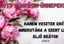 Áldott pünkösdi ünnepeket kívánunk!