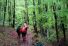 Újra nő az illegálisan Romániába érkező ukránok száma