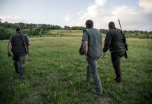 Döntött a képviselőház: 481 medvét lehet kilőni