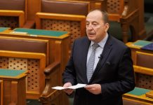 Németh Zsoltot az Európa Tanácsban frakcióvezetőnek választották