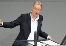 Az AfD társelnöke New Yorkban találkozik Elon Muskkal