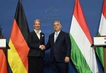 Orbán Viktor: ha mindaz, amit az AfD képvisel, megvalósulna, jót tenne Magyarországnak