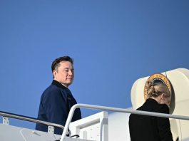 Musk: Az emberiség haldoklik