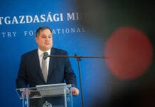 Európa legnagyobb adócsökkentési programját indítja el Magyarország
