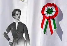 A kokárda eredete és jelentősége