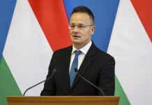 Hamarosan megkezdi működését Triesztben a magyar kikötő