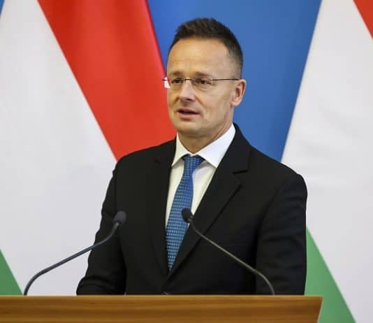 Hamarosan megkezdi működését Triesztben a magyar kikötő