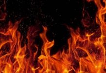 Leégett egy háromszáz éves fatemplom a temesvári skanzenben