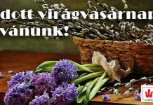 Áldott virágvasárnapot kívánunk!