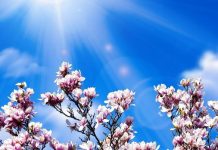 Aranyosi Ervin: Április köszöntő