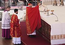 “Ferenc pápa, áldd meg az egész világot” – zárta imáját a bíboros