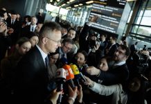 „A magyar kormány elég bátor ahhoz, hogy sikeres legyen”