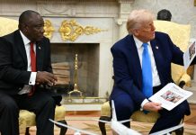 Trump: népirtás zajlik fehér telepesek ellen Dél-Afrikában