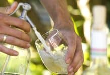 Fröccsológia – avagy bor + szóda = nyári bölcsesség