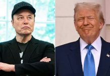 Trump szerint Elon Musk megőrült