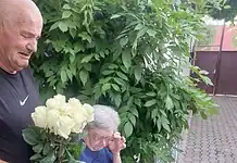 Sebestyén József temetését Magyarország fizeti