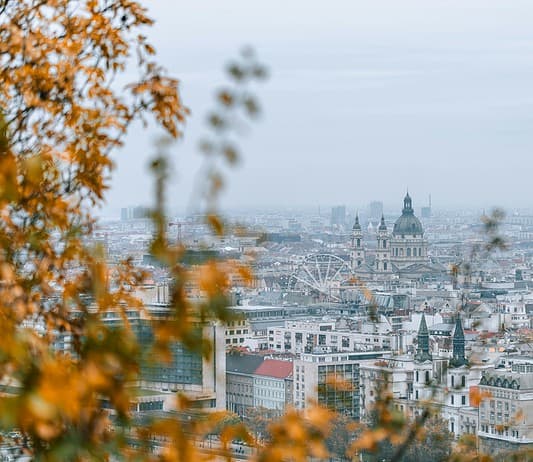Hungarian Language Day Celebrates the Richness of Our Mother Tongue