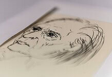 Odaítélték a Déry-díjakat