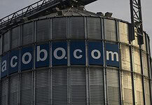 Cseh delegáció látogatott el Kárpátalja vezető vállalataihoz