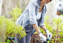 Tavaszi kertészeti teendők – így alapozzuk meg a sikeres szezont