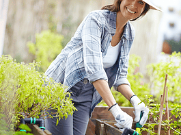 Tavaszi kertészeti teendők – így alapozzuk meg a sikeres szezont