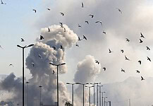 Nem ment át a szenátuson Trump korlátozása