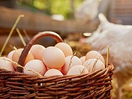 Nem drágult a tojás az előző évhez képest