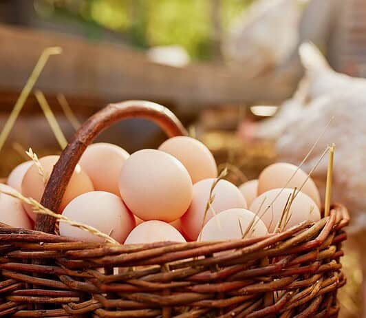 Nem drágult a tojás az előző évhez képest