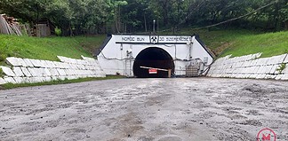 Parajd: a Salrom a hódokra hárítja a felelősséget